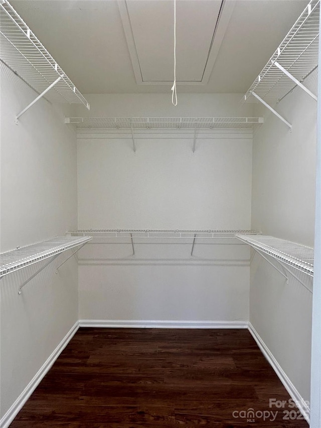 walk in closet featuring attic access and wood finished floors