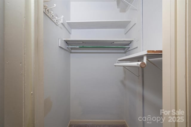 8080 Monbo Rd, Catawba, NC 28609 - view of walk in closet