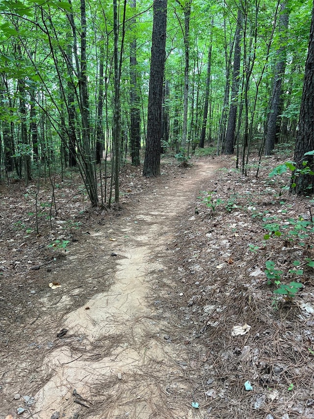8080 Monbo Rd, Catawba, NC 28609 - view of landscape with a view of trees