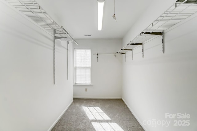 walk in closet with carpet and visible vents