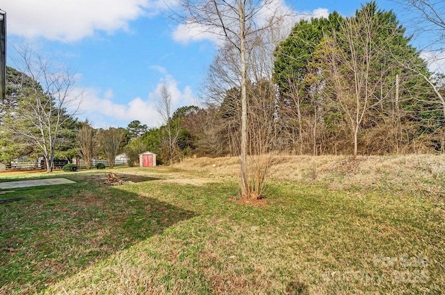 view of yard featuring a storage shed and an outbuilding