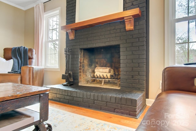 interior space with plenty of natural light, a fireplace, ornamental molding, and wood finished floors