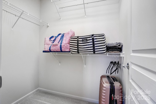 walk in closet with carpet flooring