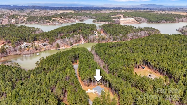 drone / aerial view featuring a forest view and a water view