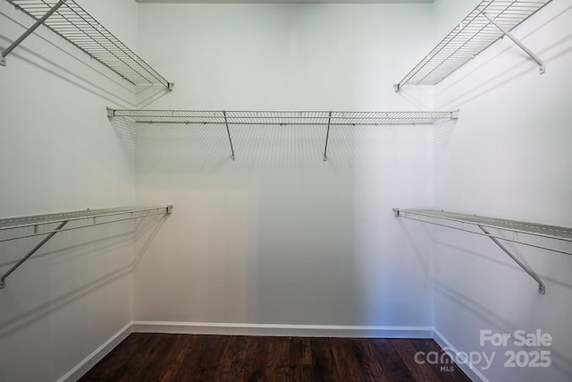 spacious closet with dark wood-type flooring