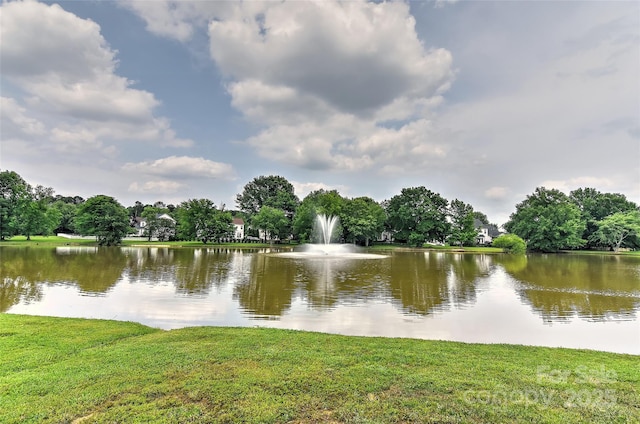2017 Bridleside Dr, Indian Trail, NC 28079 - water view