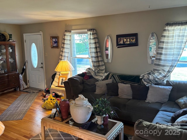 living room with wood finished floors