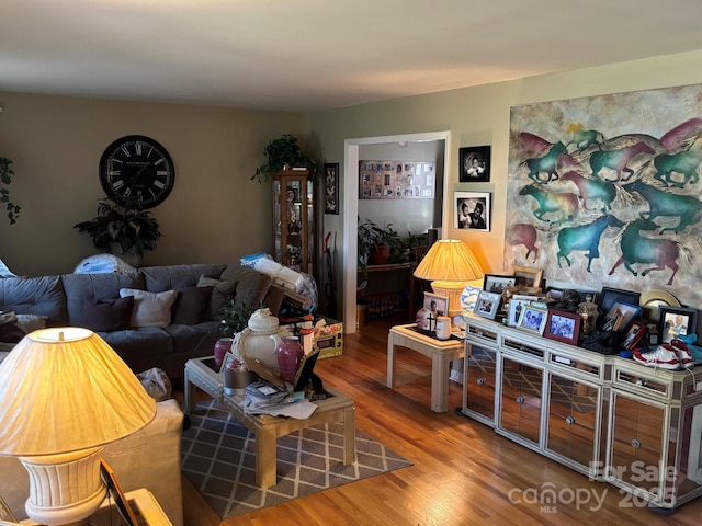 living area with wood finished floors