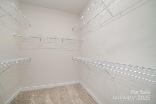 walk in closet featuring light colored carpet