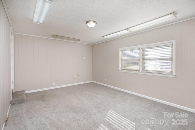 empty room with carpet and a textured ceiling