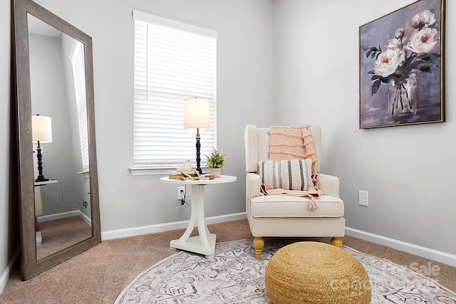 living area with carpet floors and baseboards