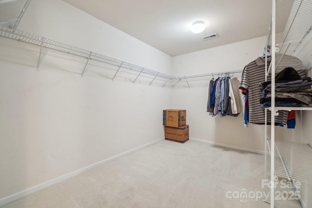 spacious closet featuring carpet floors and visible vents