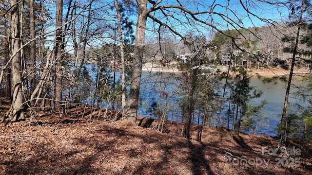 0 Pomeroy Rd, Mooresville, NC 28117