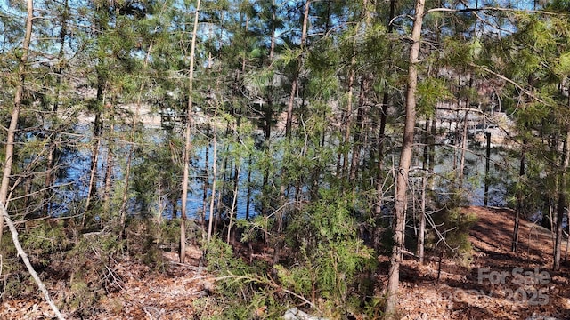 0 Pomeroy Rd, Mooresville, NC 28117