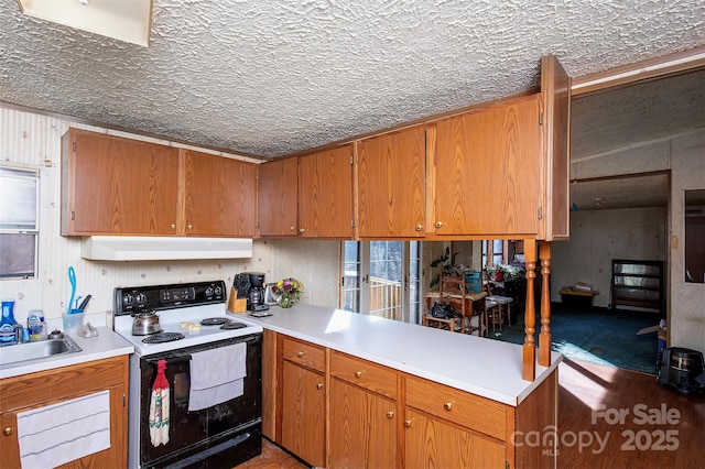 kitchen with electric range oven, light countertops, and under cabinet range hood