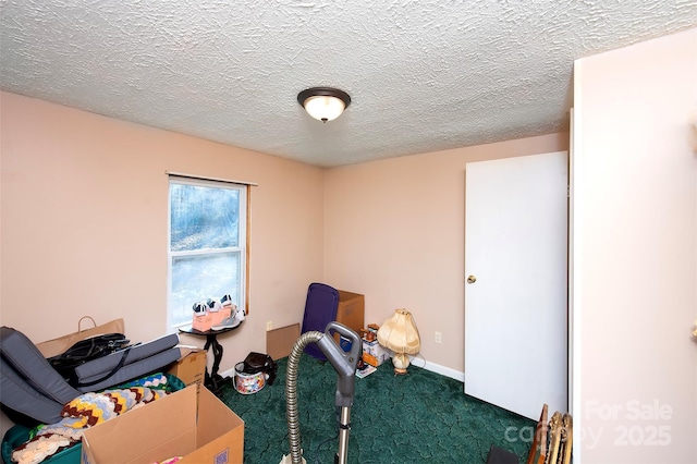 interior space with carpet floors and a textured ceiling