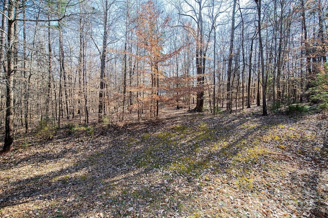 exterior space featuring a wooded view