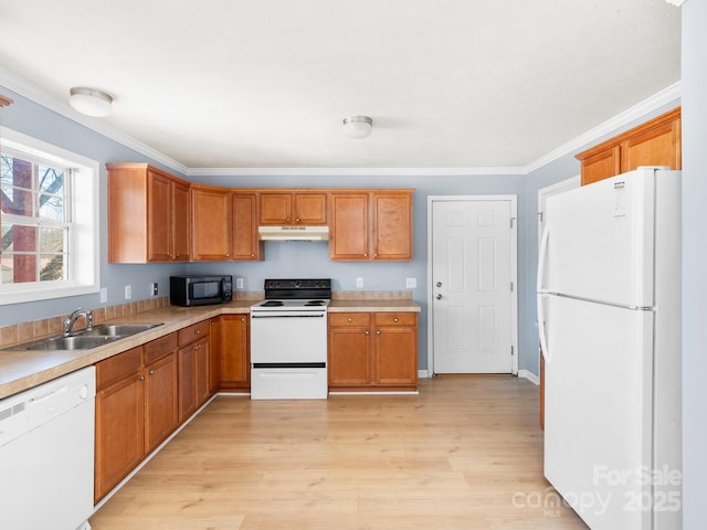 kitchen featuring under cabinet range hood, white appliances, a sink, ornamental molding, and light wood finished floors