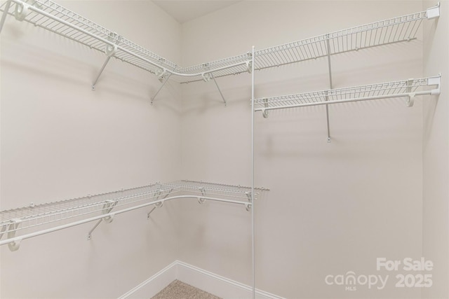 view of spacious closet