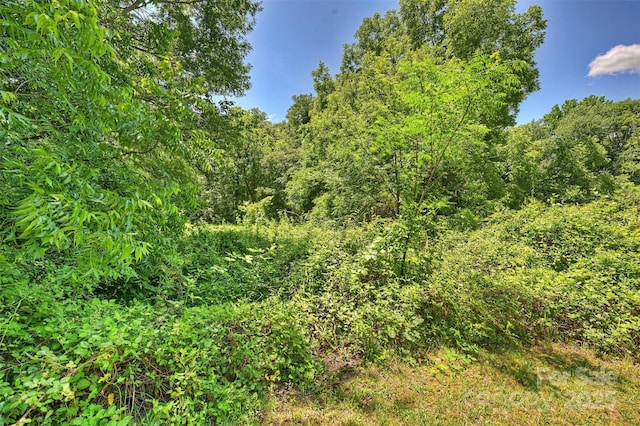 view of local wilderness with a wooded view