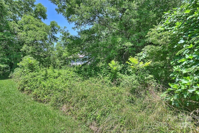 view of nature with a forest view