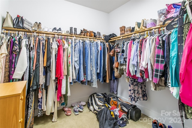 spacious closet with carpet flooring