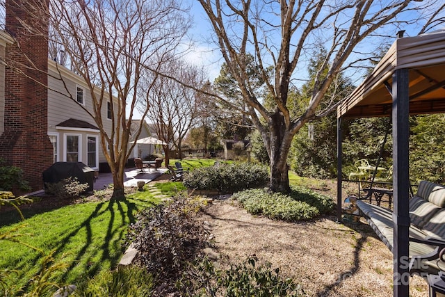 view of yard featuring a patio