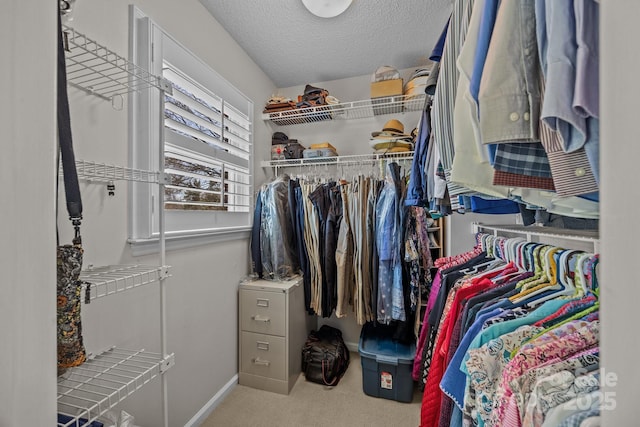 spacious closet featuring carpet floors