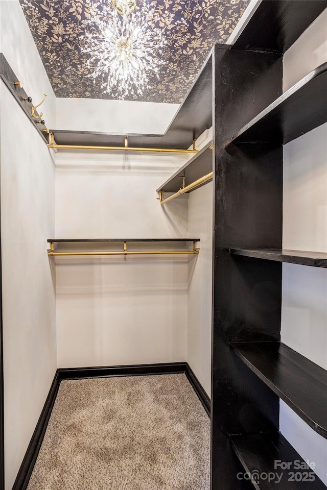 walk in closet featuring carpet floors