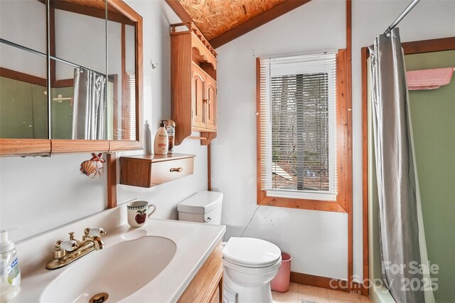 193 Oak Ridge Rd, Hendersonville, NC 28792 - bathroom featuring toilet, vaulted ceiling, a wealth of natural light, and a shower with shower curtain