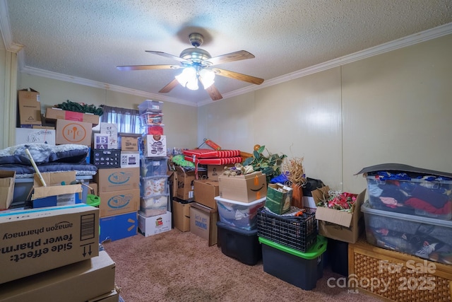 storage room with ceiling fan