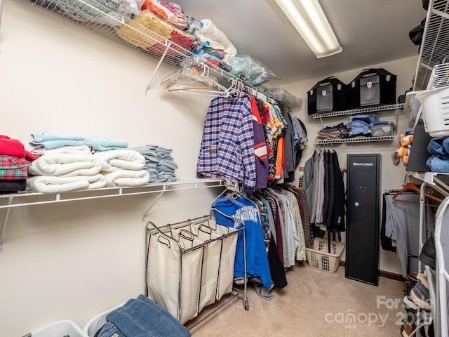 walk in closet with carpet flooring