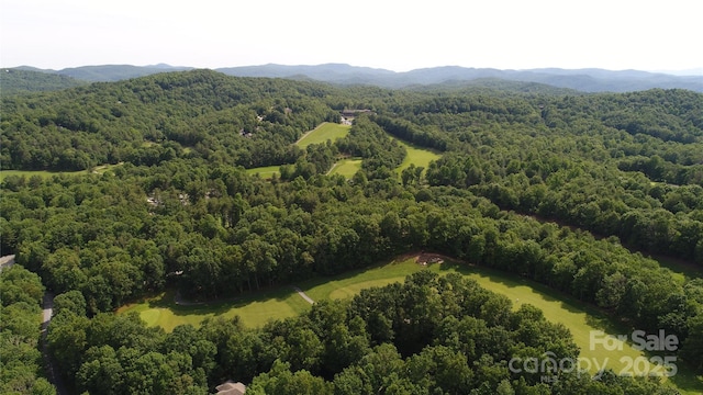 bird's eye view featuring a mountain view and a forest view