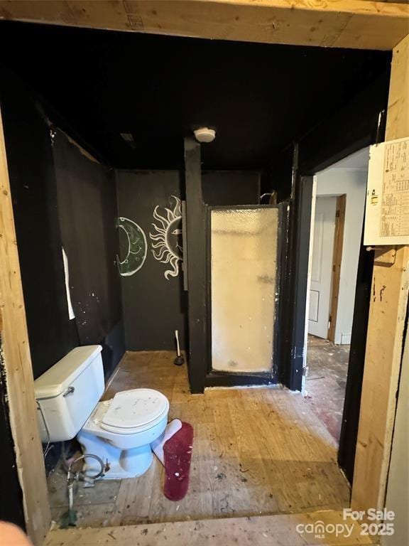 bathroom with toilet and wood-type flooring