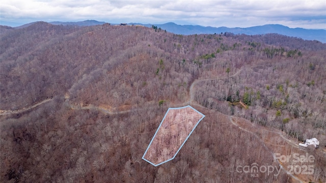 00000 Grassland Pkwy Unit 14, Marshall NC, 28753 land for sale