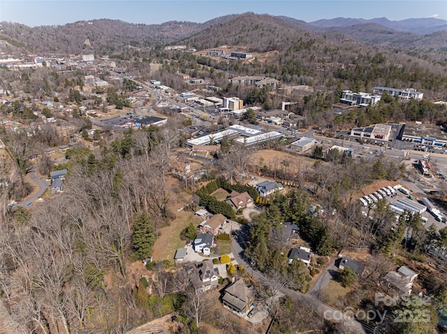 birds eye view of property featuring a mountain view