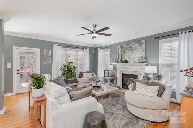 living area with ceiling fan, ornamental molding, light wood-type flooring, and a fireplace with flush hearth