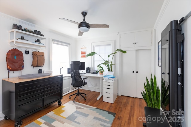 office space featuring a ceiling fan, ornamental molding, and wood finished floors