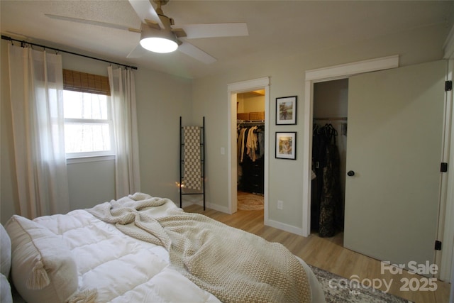 bedroom featuring baseboards, a spacious closet, a ceiling fan, and light wood-style floors