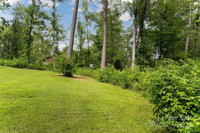 17 Fair Oaks Rd, Arden, NC 28704 - view of green lawn