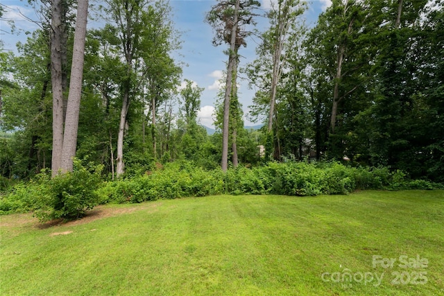 17 Fair Oaks Rd, Arden, NC 28704 - view of grassy yard