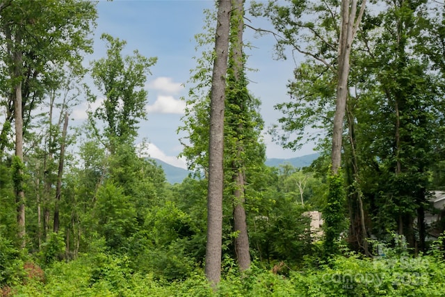 17 Fair Oaks Rd, Arden, NC 28704 - view of woods featuring a mountain view