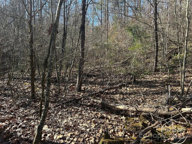 0000 Ham Creek Rd, Union Mills NC, 28167 land for sale