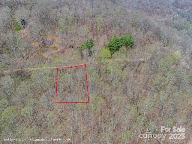 0 Weaver Ln Unit 202, Mars Hill NC, 28754 land for sale