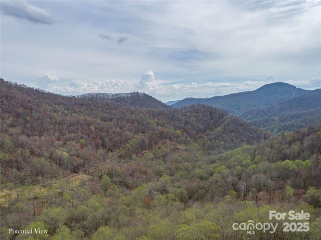 Listing photo 2 for 0 Weaver Ln Unit 202, Mars Hill NC 28754