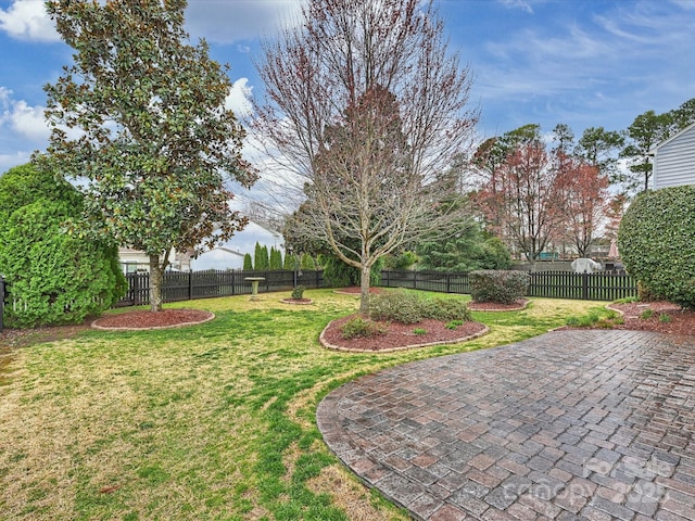 view of yard with a patio area and a fenced backyard