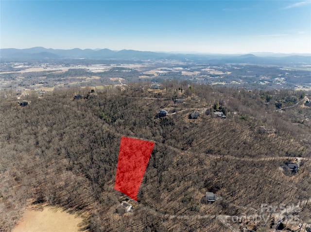 9999 Laurel Drive 12 & 13, Mills River NC, 28759 land for sale