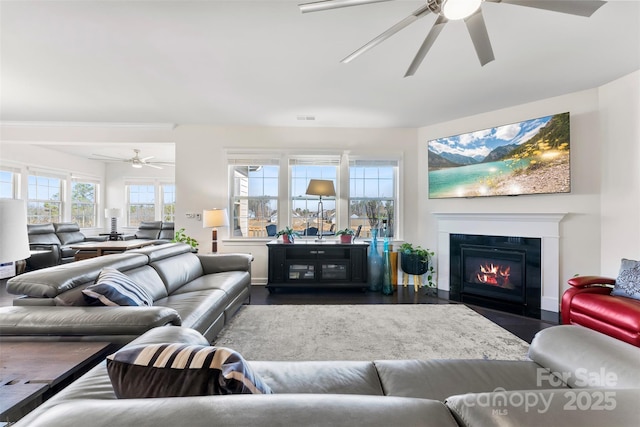 living area featuring a fireplace with flush hearth, a wealth of natural light, visible vents, and dark wood-type flooring