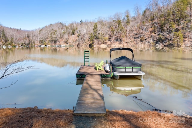 dock area featuring a water view and a forest view