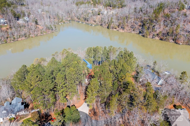 bird's eye view featuring a water view and a view of trees